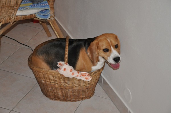 Možná je to trochu těsný