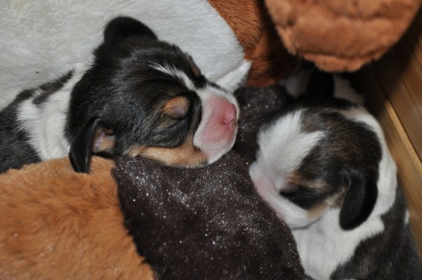 kliknutím zavřete okno