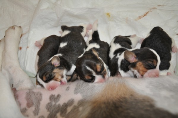 kliknutím zavřete okno