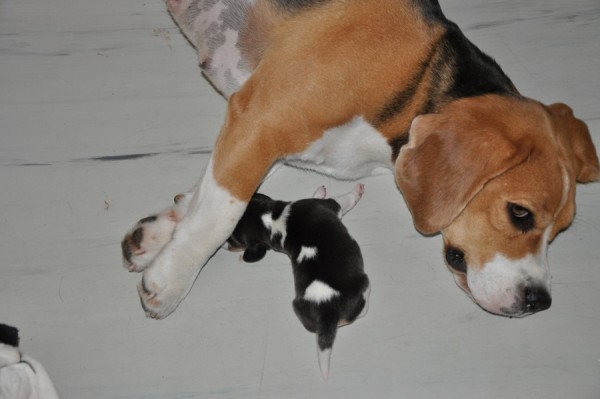 kliknutím zavřete okno