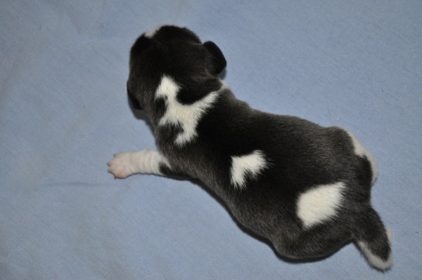 kliknutím zavřete okno