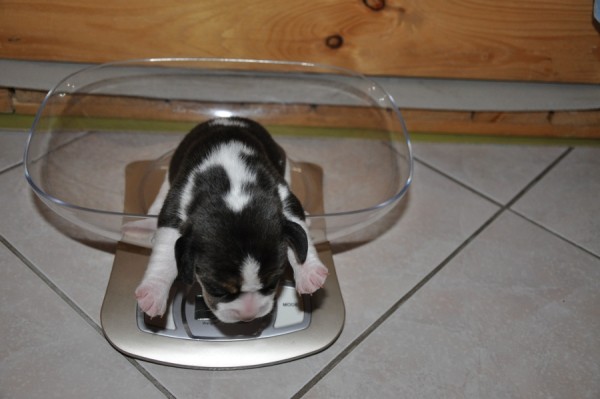 kliknutím zavřete okno