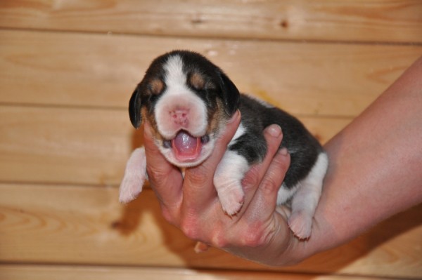 kliknutím zavřete okno