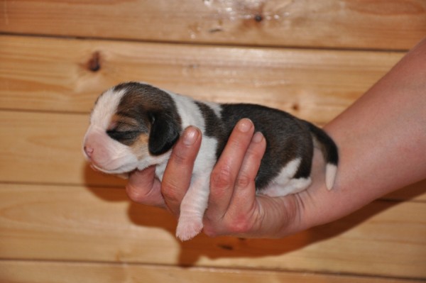 kliknutím zavřete okno