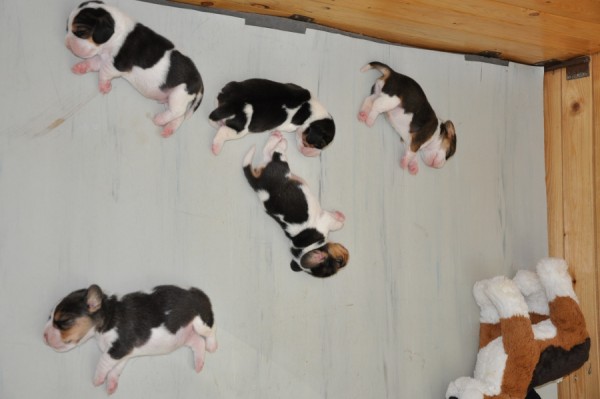 kliknutím zavřete okno