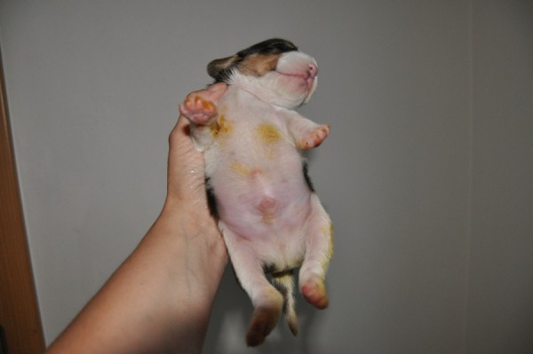 kliknutím zavřete okno