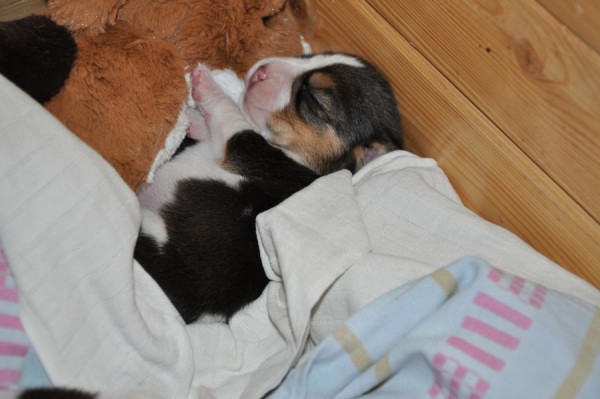 kliknutím zavřete okno