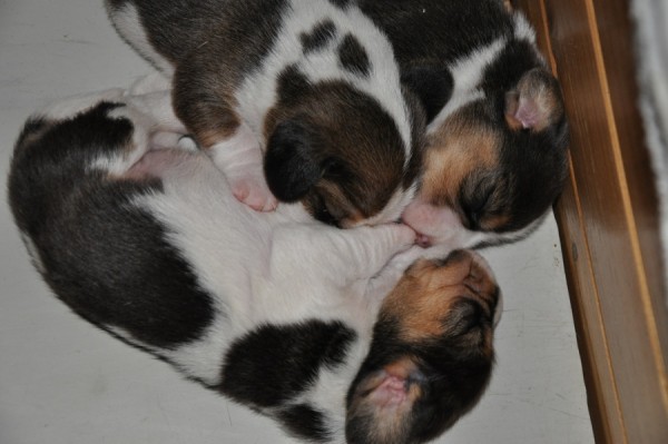 kliknutím zavřete okno