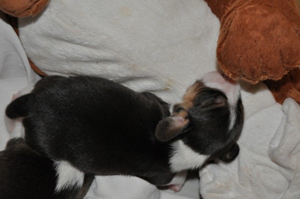 malá dnes dopapala všechny holky