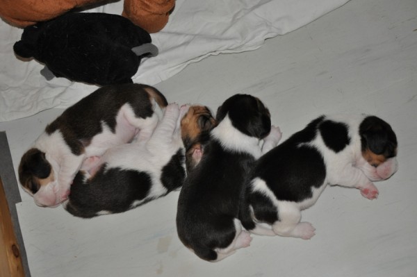 kliknutím zavřete okno