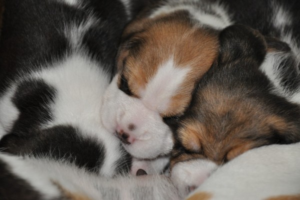 kliknutím zavřete okno