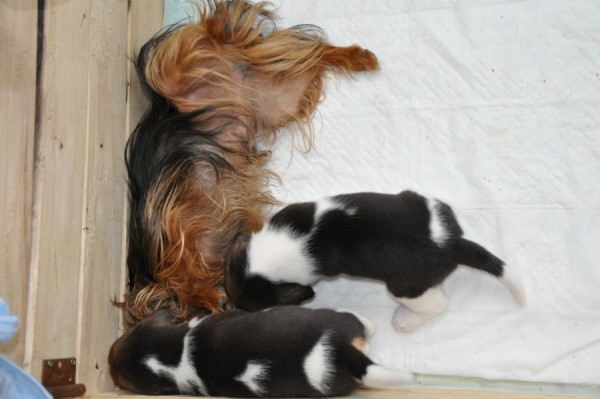 kliknutím zavřete okno