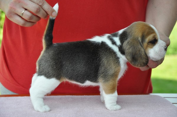 kliknutím zavřete okno