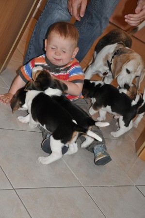 kliknutím zavřete okno