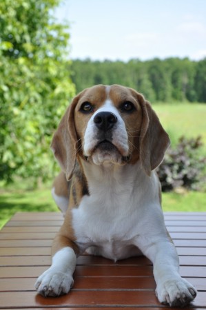 kliknutím zavřete okno