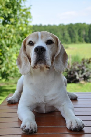 kliknutím zavřete okno