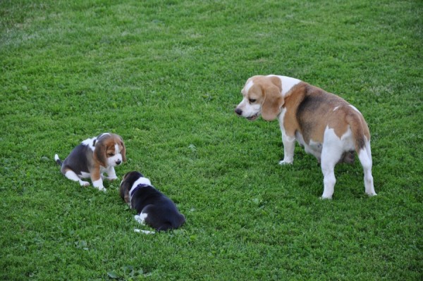 kliknutím zavřete okno