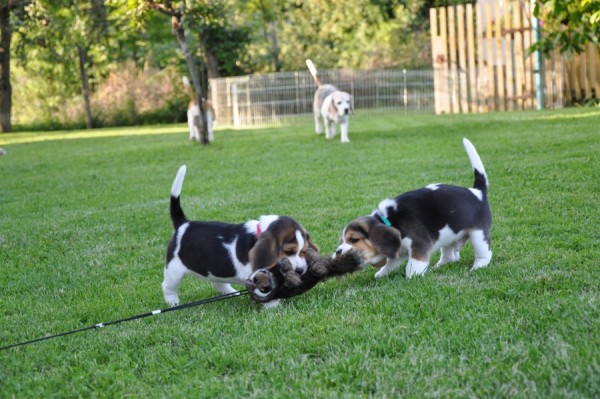 kliknutím zavřete okno