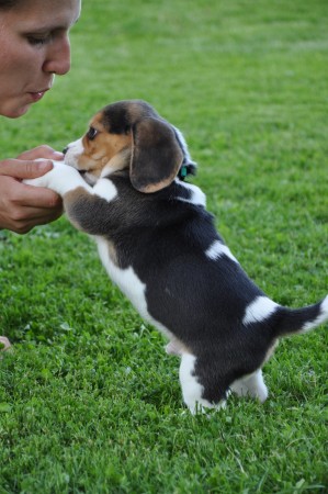 kliknutím zavřete okno