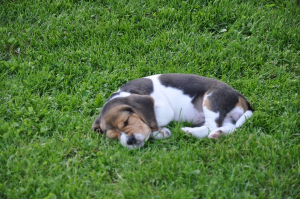 kliknutím zavřete okno