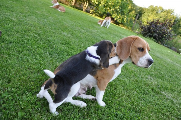 Už si vyskakuji na maminku