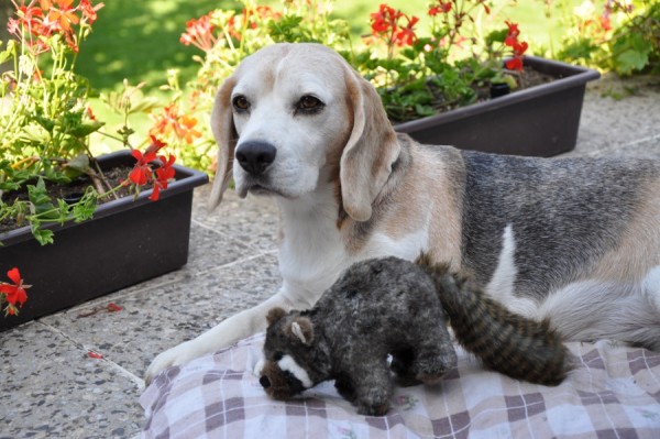 Babička krade miminám hračky