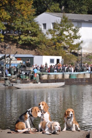 kliknutím zavřete okno