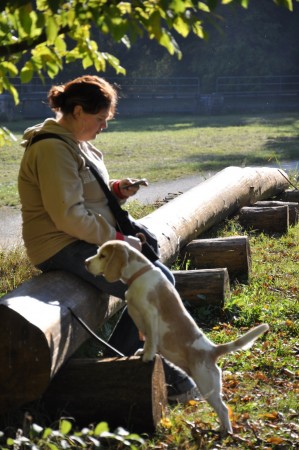kliknutím zavřete okno