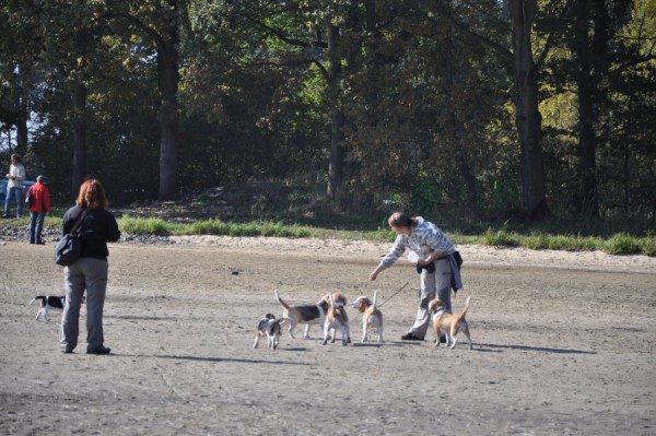 kliknutím zavřete okno