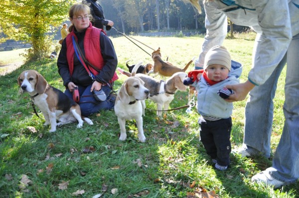 kliknutím zavřete okno
