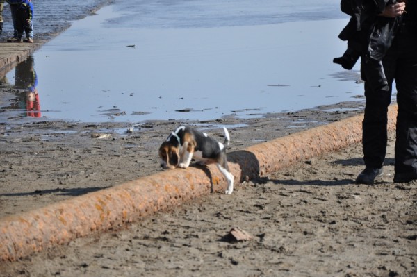 kliknutím zavřete okno