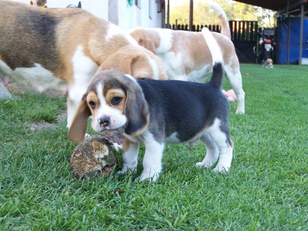 kliknutím zavřete okno