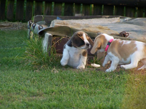 kliknutím zavřete okno