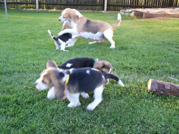 kliknutím zavřete okno