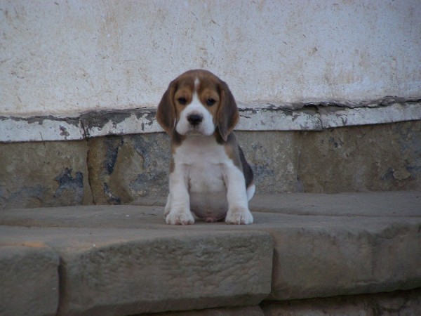 kliknutím zavřete okno