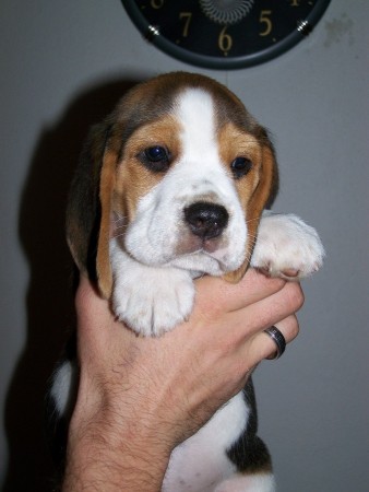 kliknutím zavřete okno