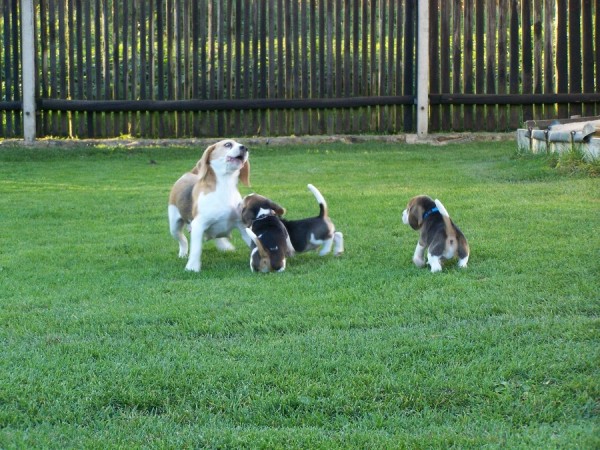 kliknutím zavřete okno