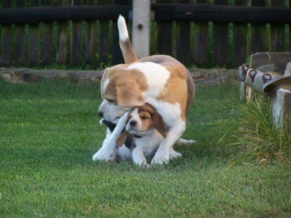 kliknutím zavřete okno