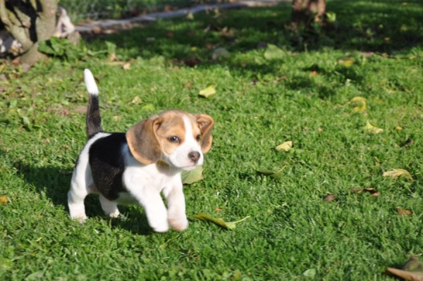 kliknutím zavřete okno