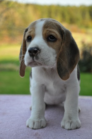 kliknutím zavřete okno