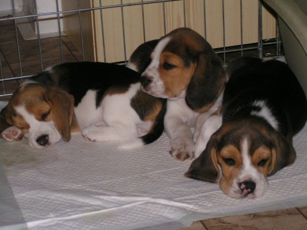 kliknutím zavřete okno