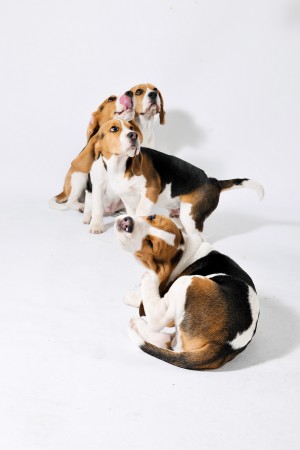 kliknutím zavřete okno