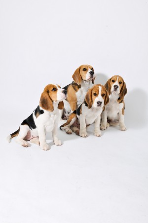 kliknutím zavřete okno