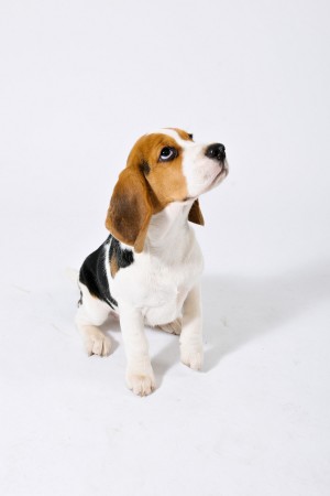 kliknutím zavřete okno