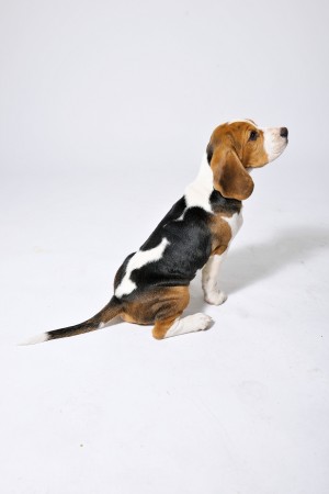 kliknutím zavřete okno