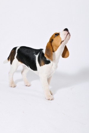 kliknutím zavřete okno