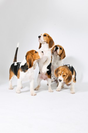 kliknutím zavřete okno