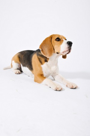 kliknutím zavřete okno