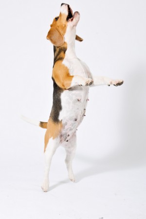 kliknutím zavřete okno