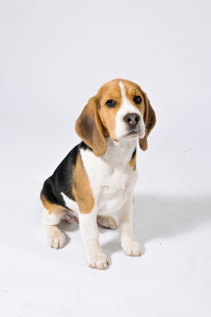 kliknutím zavřete okno